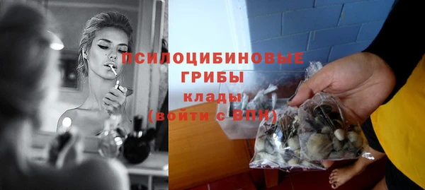 ГАЛЛЮЦИНОГЕННЫЕ ГРИБЫ Баксан