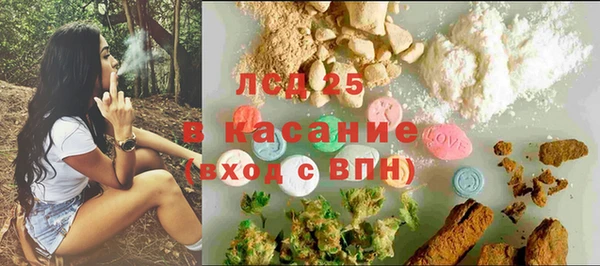 ГАЛЛЮЦИНОГЕННЫЕ ГРИБЫ Баксан