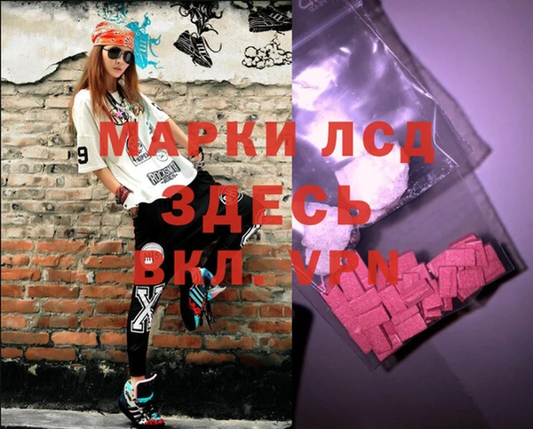 ГАЛЛЮЦИНОГЕННЫЕ ГРИБЫ Баксан