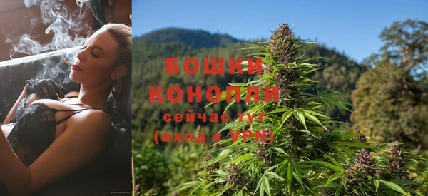 ГАЛЛЮЦИНОГЕННЫЕ ГРИБЫ Баксан