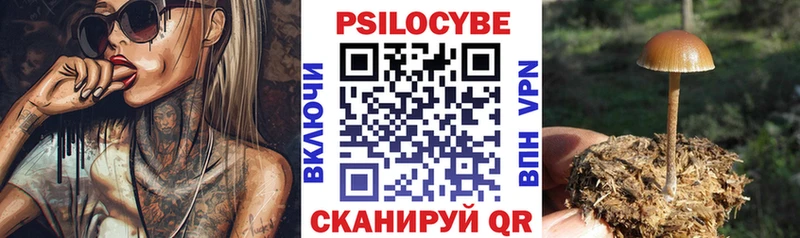 OMG маркетплейс  купить  цена  Бородино  Галлюциногенные грибы Psilocybe 